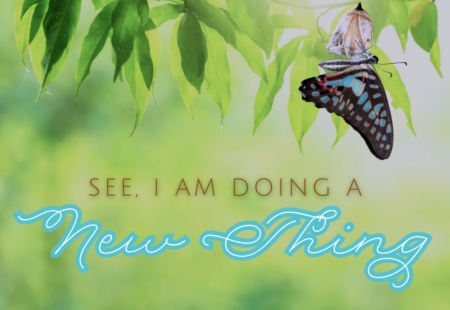 SonRise Christian Fellowship | 4.13.25