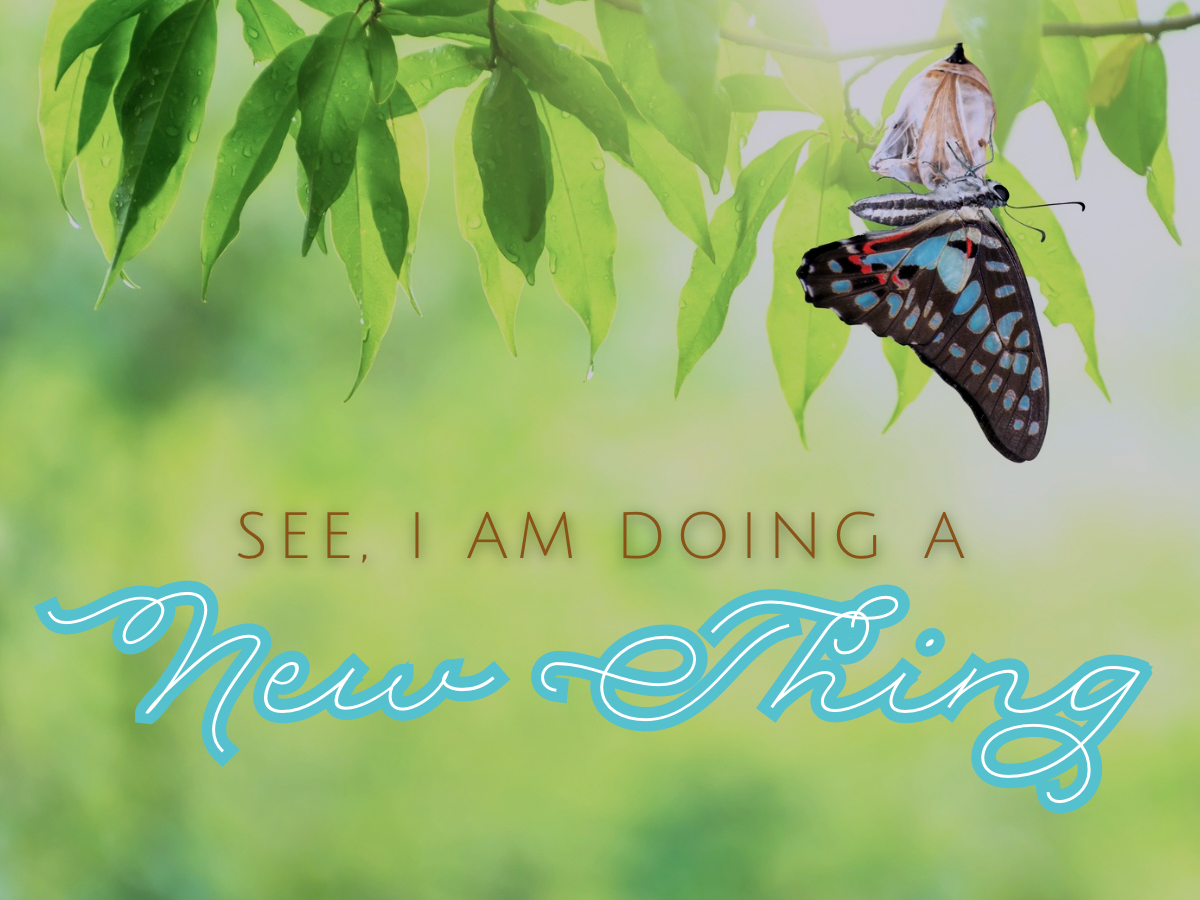 SonRise Christian Fellowship | 4.6.25